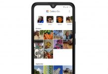 Google Gallery Go , ¿qué es y porqué es tan buena? Google Gallery Go , ¿qué es y porqué es tan buena?