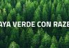 Razer lanza un Fondo Verde para apoyar la sostenibilidad