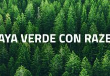 Razer lanza un Fondo Verde para apoyar la sostenibilidad