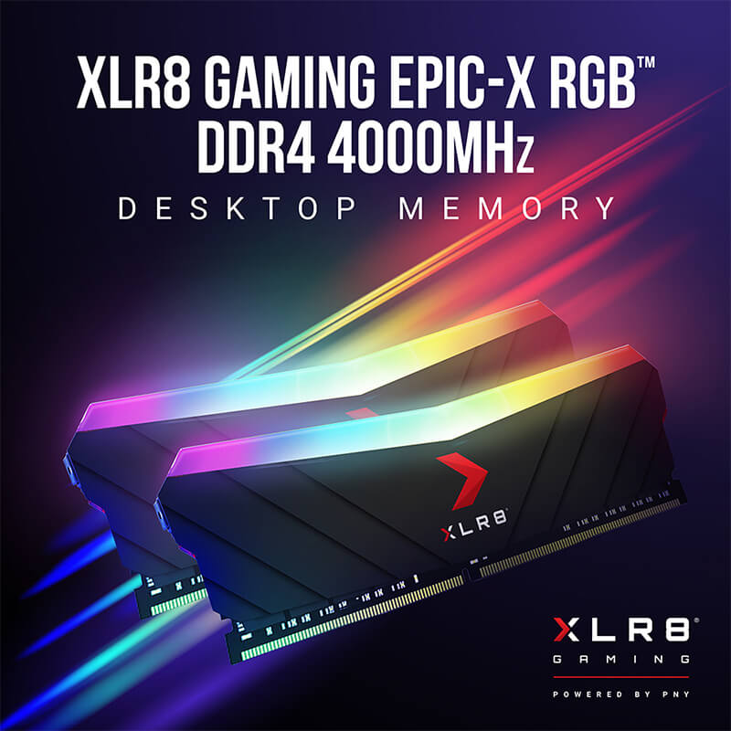 PNY XLR8 Gaming EPIC-X RGB DDR4 a 4000 MHz