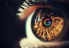 Proyecto Iris, gafas VR de Google para competir con Apple y Meta (Facebook) Proyecto Iris, gafas VR de Google para competir con Apple y Meta (Facebook)