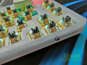 Gamakay LK67 review + Switch ÚNICOS Crystal / Bumblebee / Phoenix Silent
