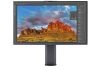 LG UltraFine Ergo, monitor con IA presentado en IFA 2022 LG UltraFine Ergo, monitor con IA presentado en IFA 2022