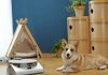 Robot Jet Bot AI+ cuida de tu mascota cuando no estás en casa Robot Jet Bot AI+ cuida de tu mascota cuando no estás en casa