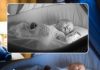 Baby Monitor BM 300 ofrece comodidad y fiabilidad a las familias con bebés Baby Monitor BM 300 ofrece comodidad y fiabilidad a las familias con bebés