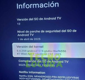 Thomson Go Cast 150 4K Google TV