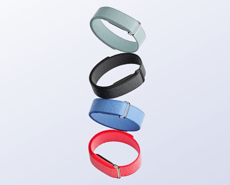 Google Fitbit Air