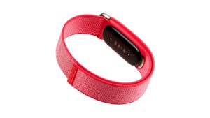 Google Fitbit Air Berry Loop