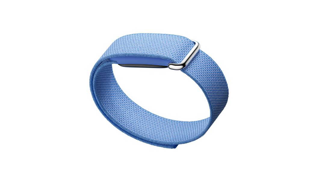 Google Fitbit Air